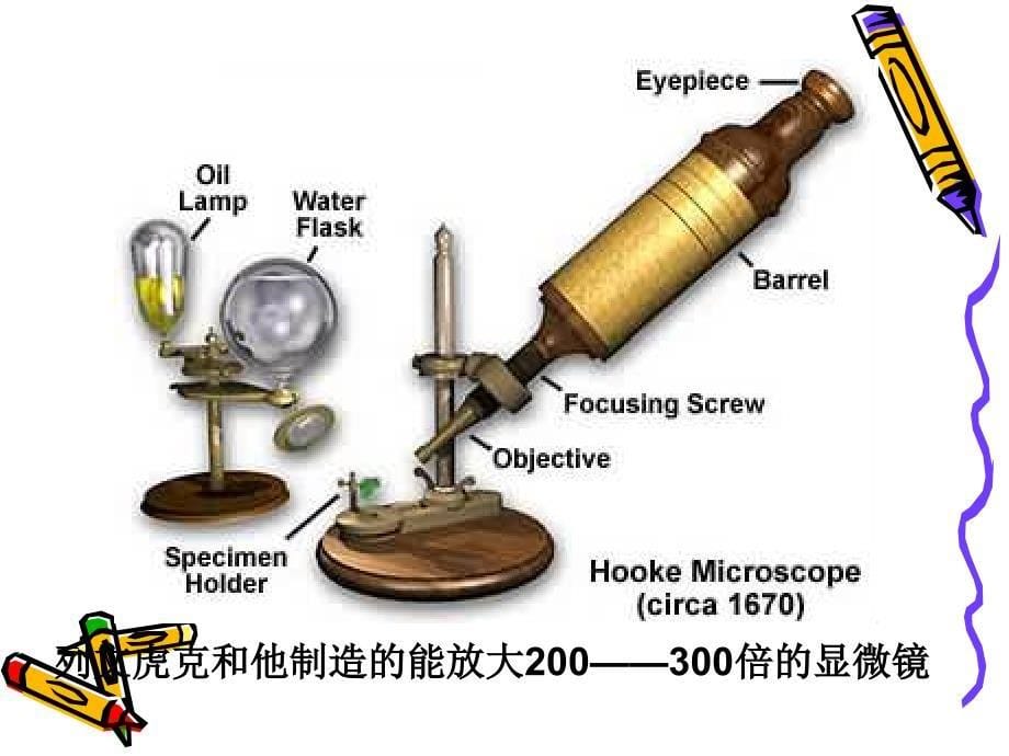 初中生物21029_第5页