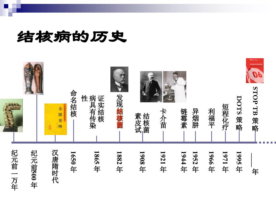 《卡介苗接种培训》ppt课件_第2页