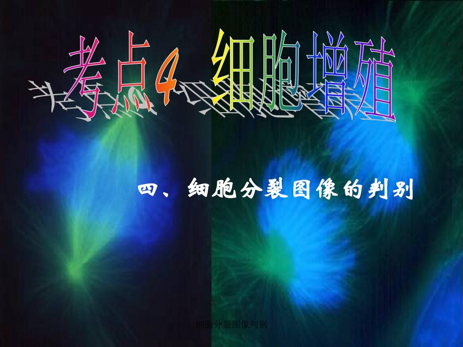 细胞分裂图像判别课件_第1页