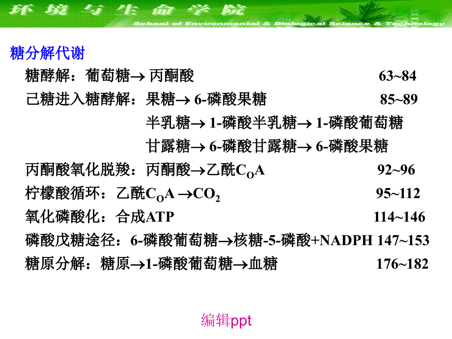 大连理工大学生物化学细胞代谢与基因表达调控_第2页