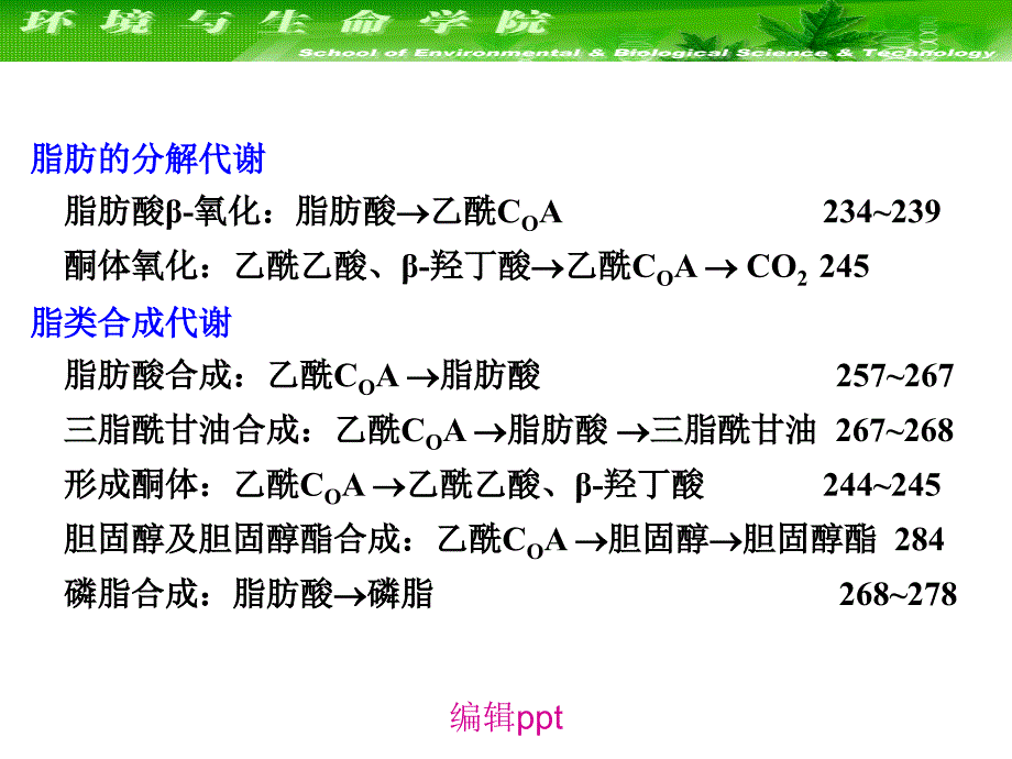 大连理工大学生物化学细胞代谢与基因表达调控_第4页