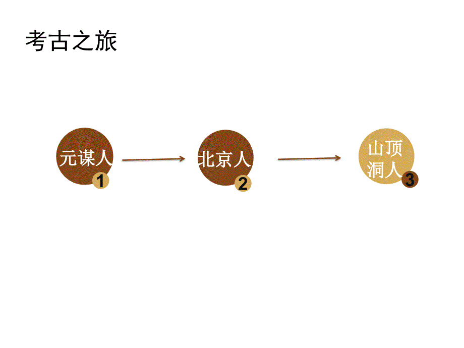 第1课中国早期人类的代表—北京人课件25张_第3页