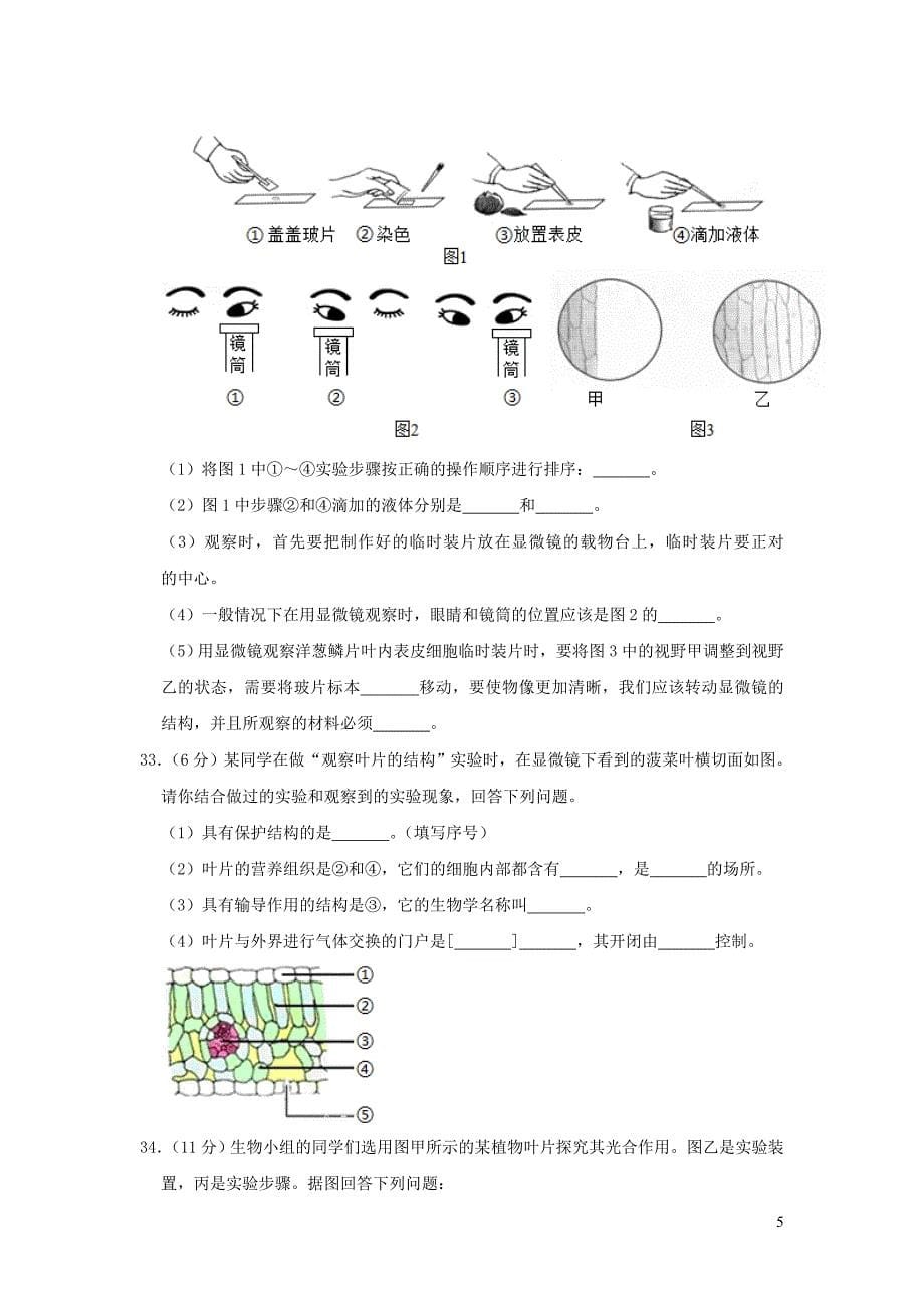 北京市门头沟区2018-2019学年七年级生物上学期期末试卷_第5页