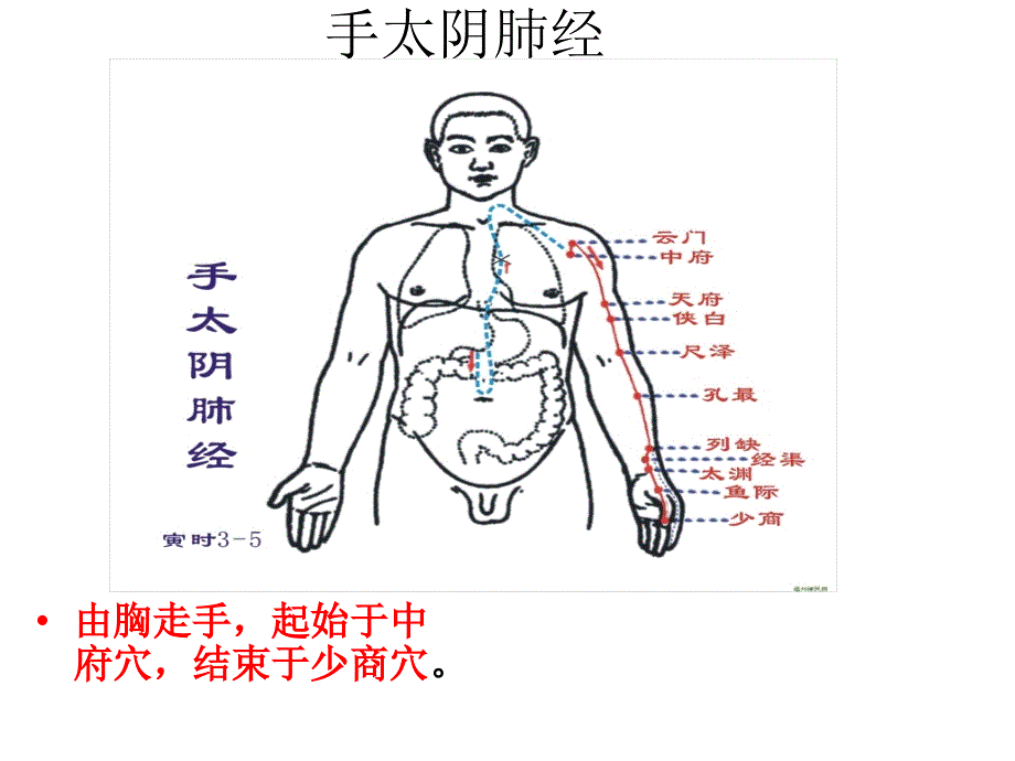 十二条经络及功能详细PPT课件_第2页