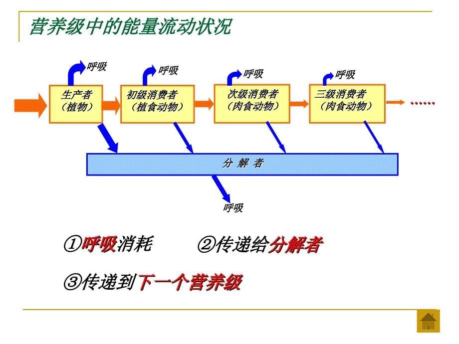 六章节生态系统_第5页