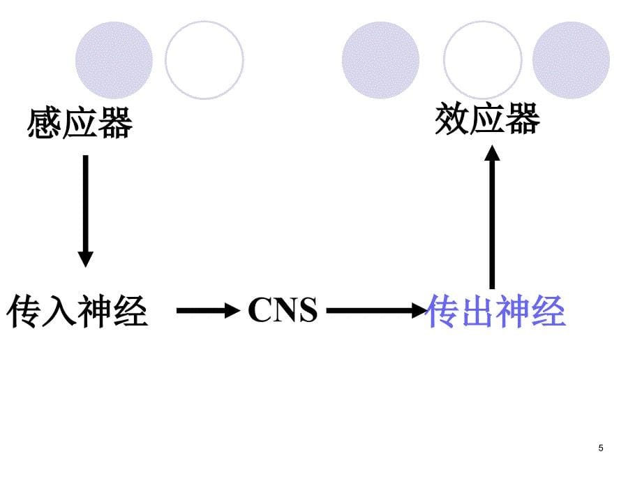 医学专题：传出神经系统药讲义_第5页