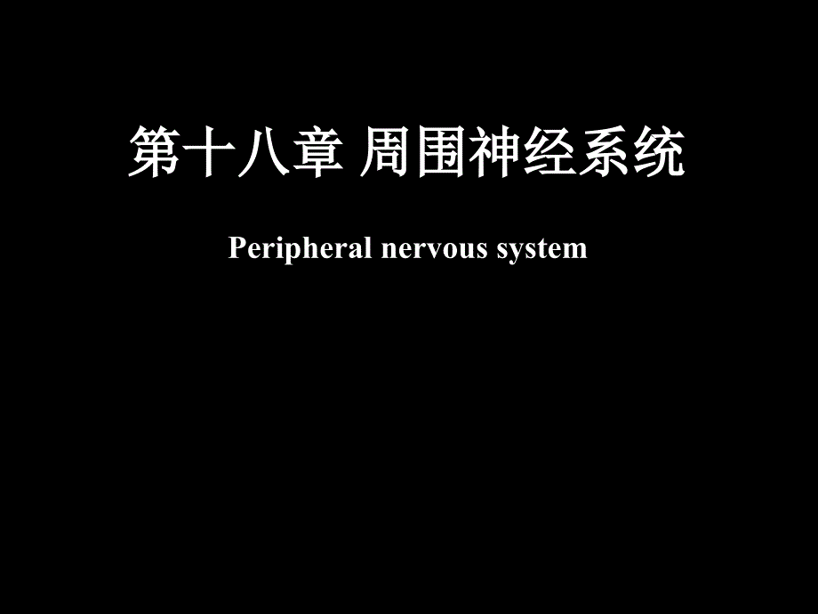 脊神经解剖图PowerPoint 演示文稿_第1页