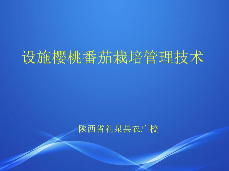 设施樱桃番茄栽培管理技术_第1页