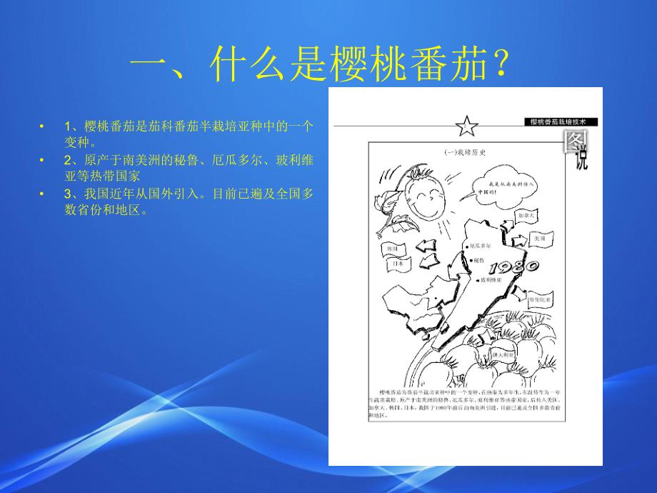 设施樱桃番茄栽培管理技术_第2页