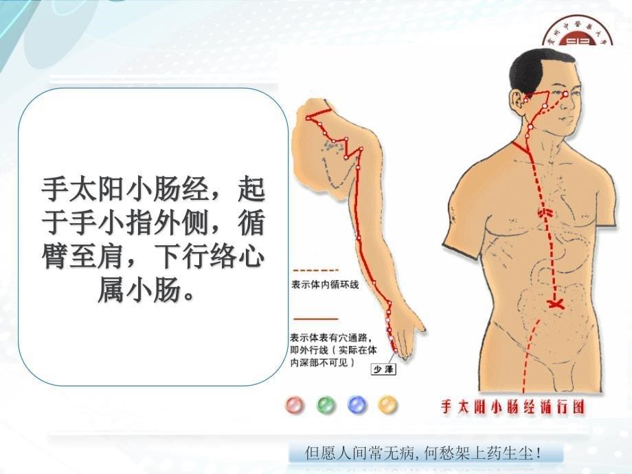 伤寒论太阳病辨证论治第一节概论、纲要.ppt_第5页