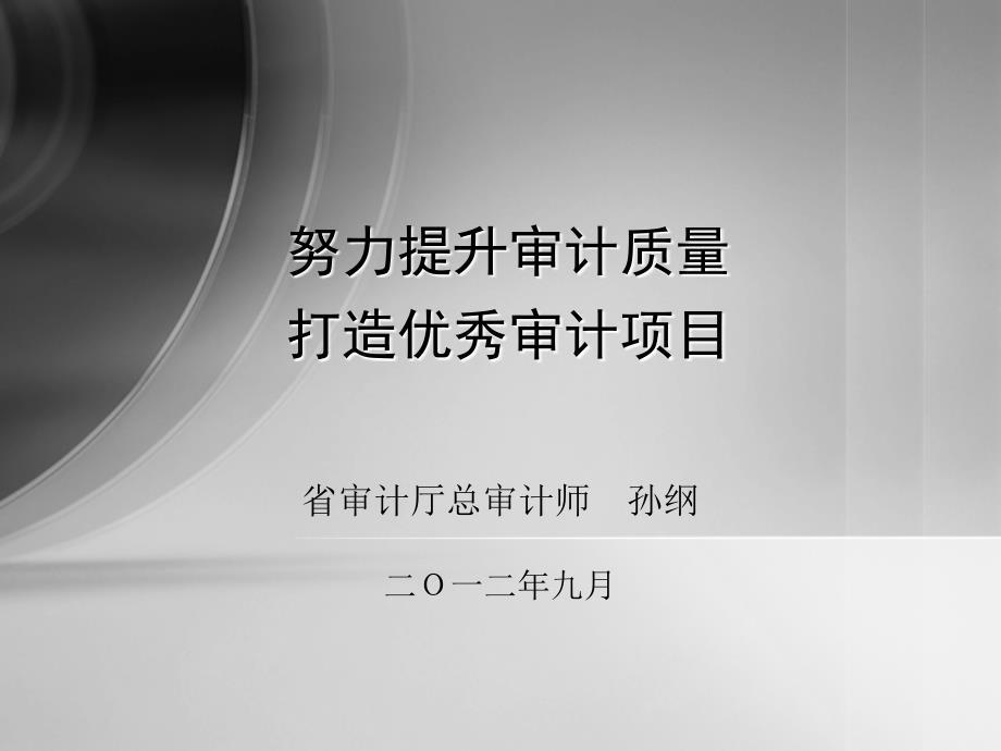 打造优秀审计项目