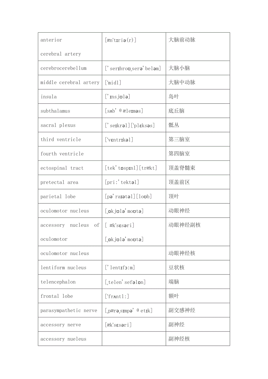 神经外科英文词汇_第2页