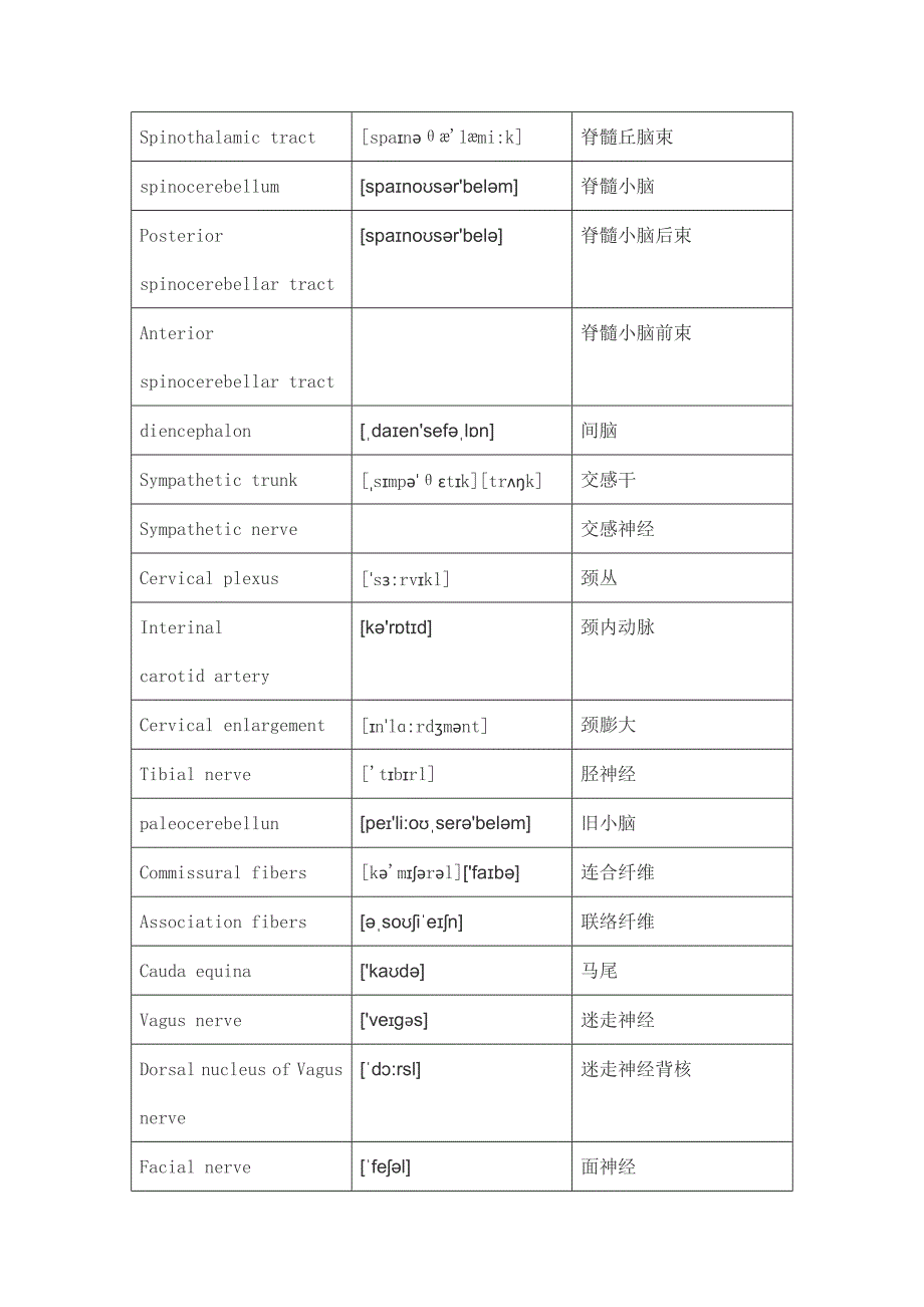 神经外科英文词汇_第4页