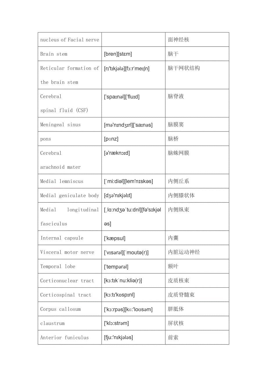 神经外科英文词汇_第5页