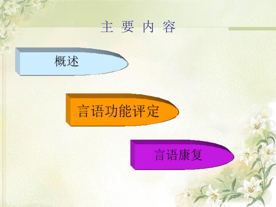 言语治疗概论及常用治疗技术a.ppt_第2页