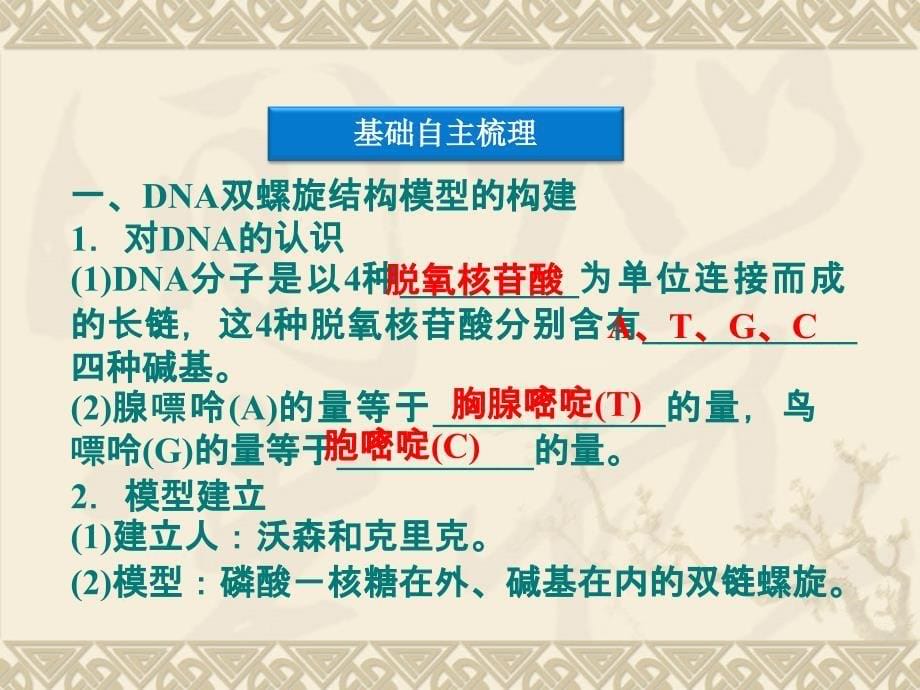 32DNA分子的结构精品课件人教版必修二_第5页