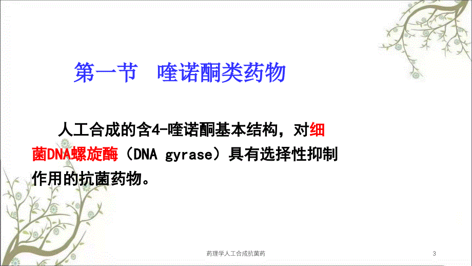 药理学人工合成抗菌药课件_第3页