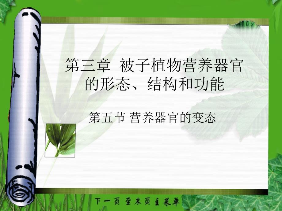 植物学课件：营养器官的变态_第1页