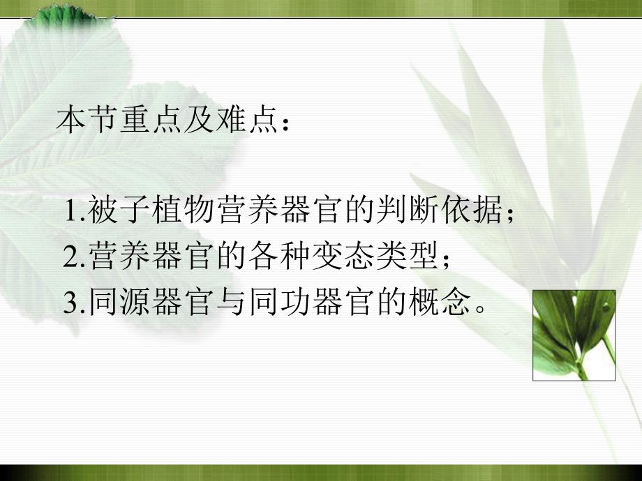 植物学课件：营养器官的变态_第2页