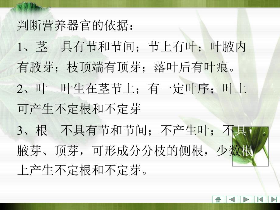 植物学课件：营养器官的变态_第4页