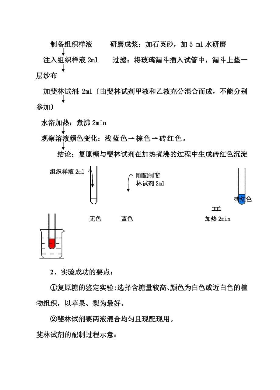 最新人教版教学教案实验一 生物组织中还原糖、脂肪、蛋白质的鉴定教案_第5页