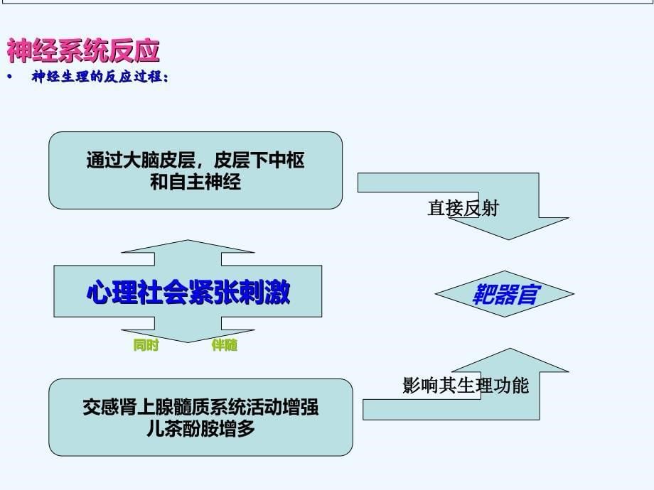 心理应激反应_第5页