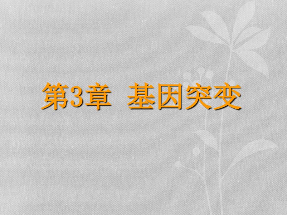 医学遗传学课件：第3章 基因突变_第1页