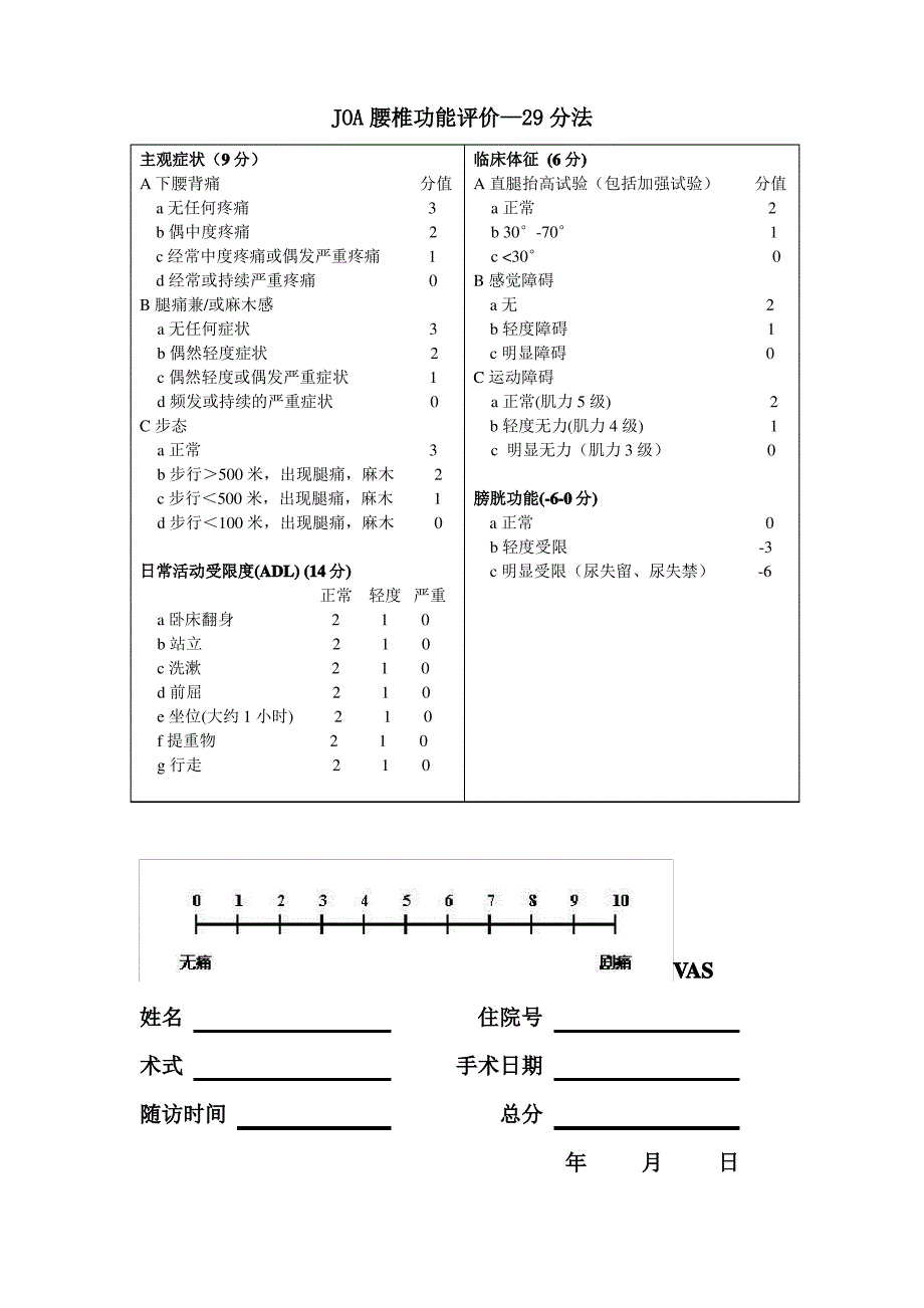 JOA腰椎功能评分_第2页