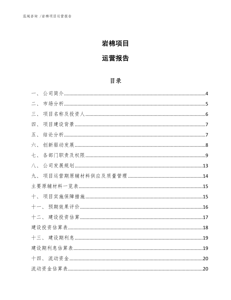 岩棉项目运营报告（范文）_第1页