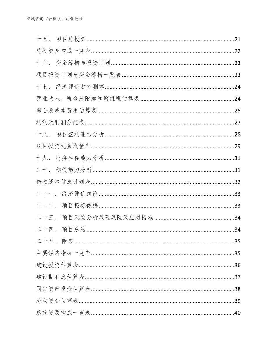 岩棉项目运营报告（范文）_第2页