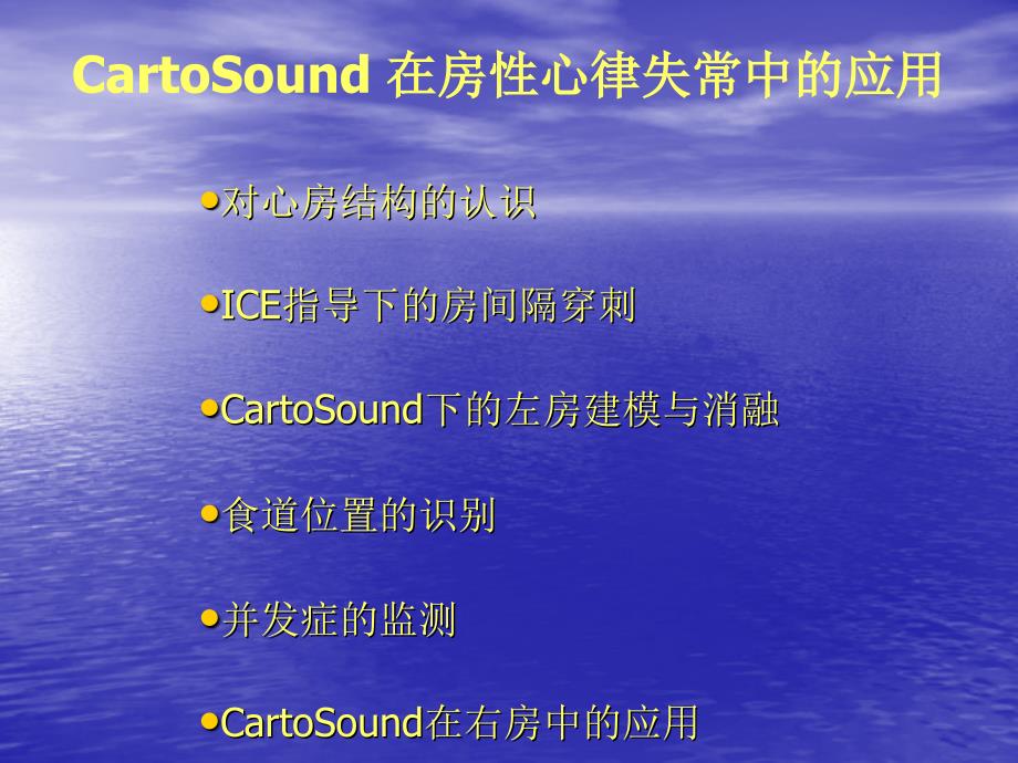 医学交流课件：CartoSound 在房性心律失常中的应用_第3页