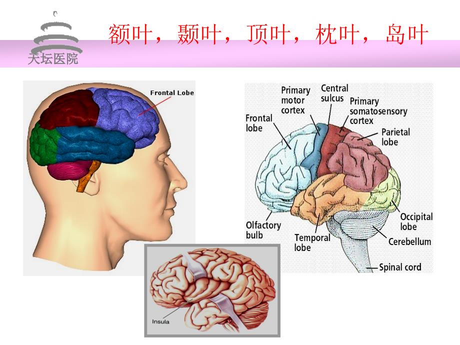 幕上肿瘤麻醉_第4页