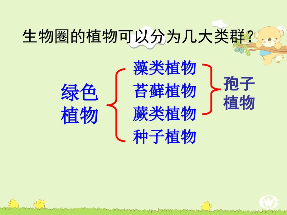 第一节藻类、苔藓和蕨类植物（课件）_第2页