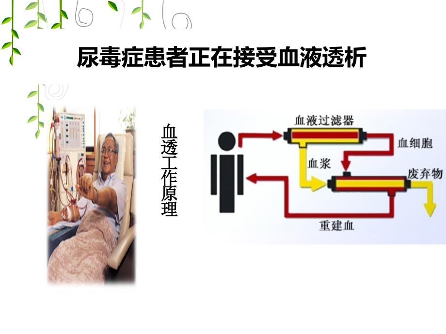 人教版教学课件人教版必修一第四章细胞的输入与输出第二节生物膜的液态镶嵌式模型课件_第3页