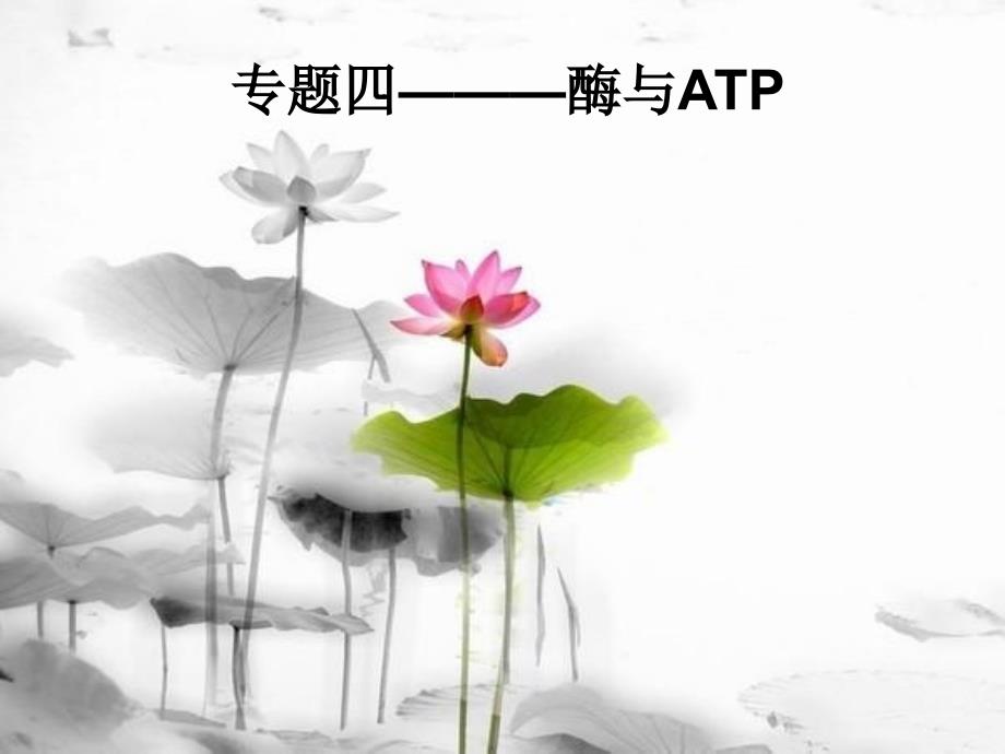 生物必修1酶和ATP一轮复习_第1页