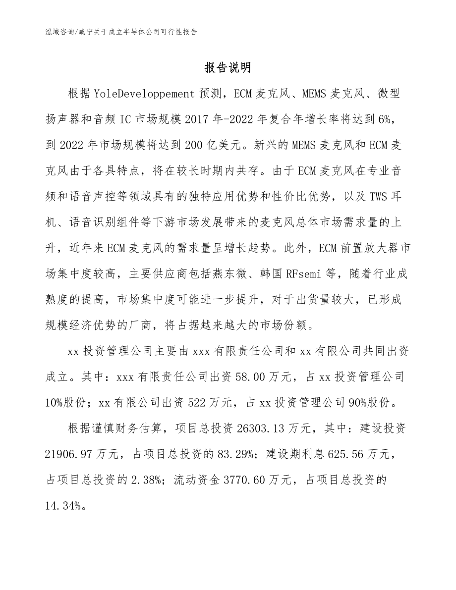 咸宁关于成立半导体公司可行性报告_第2页