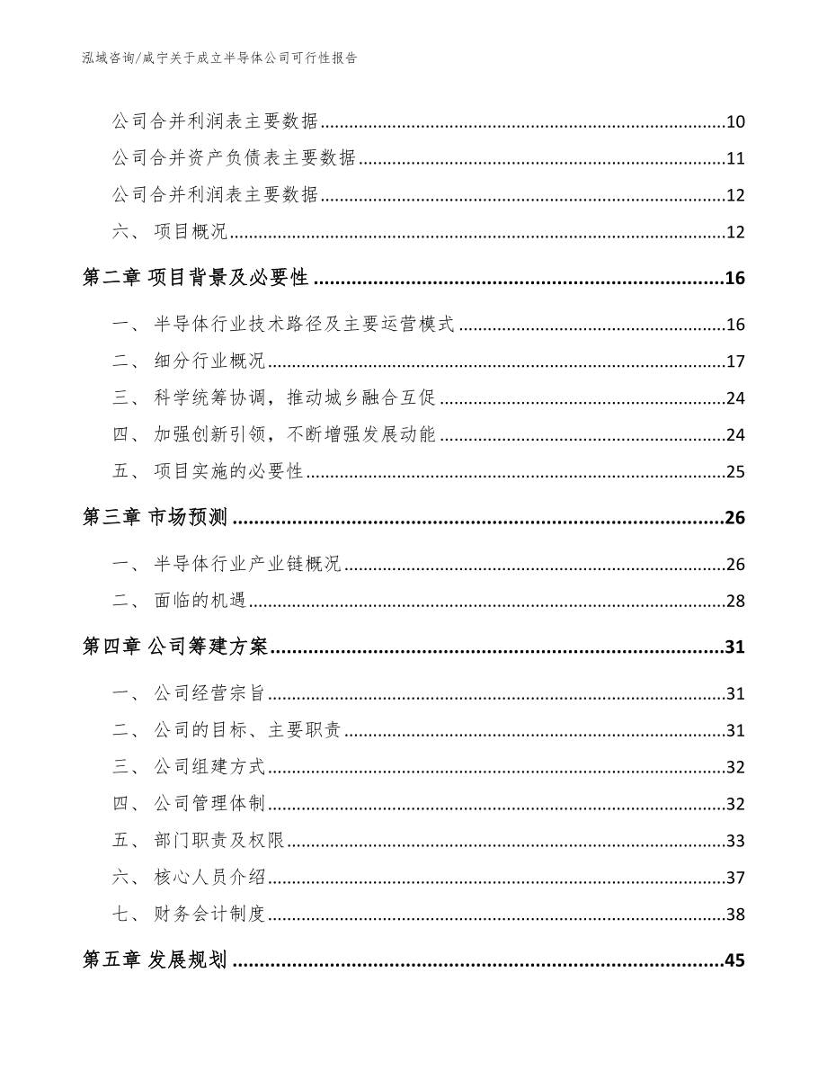 咸宁关于成立半导体公司可行性报告_第4页