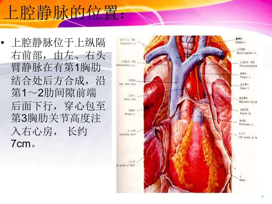 上腔静脉阻塞综合症_第3页