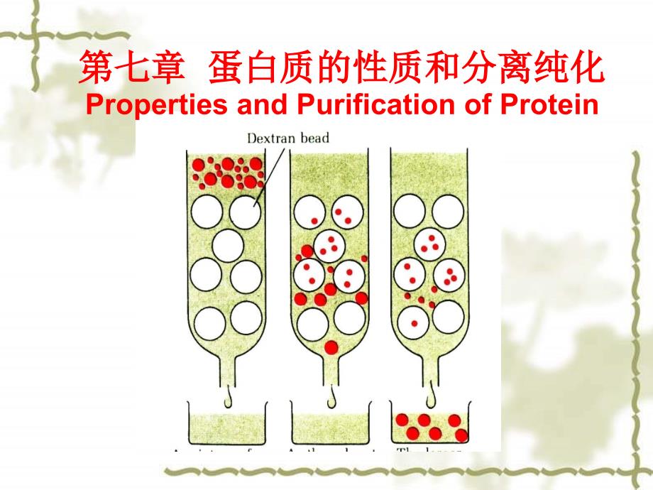 第七章蛋白质的分离纯化.课件_第1页