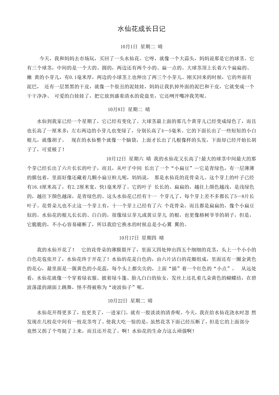 水仙花成长观察日记_第1页