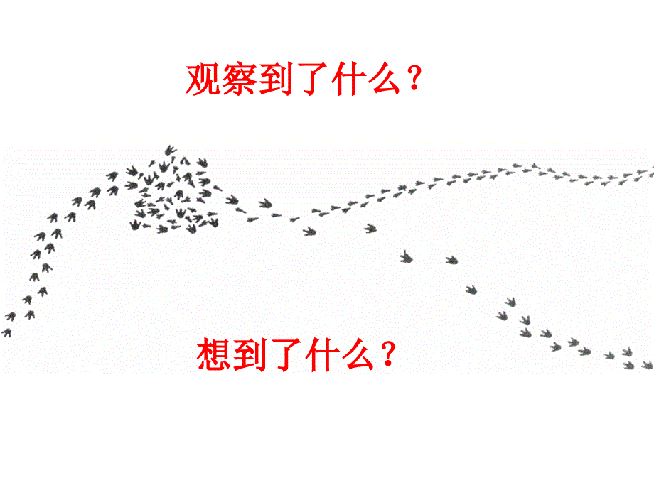 五年级上册科学课件5.1解释苏教版共11张PPT1_第3页