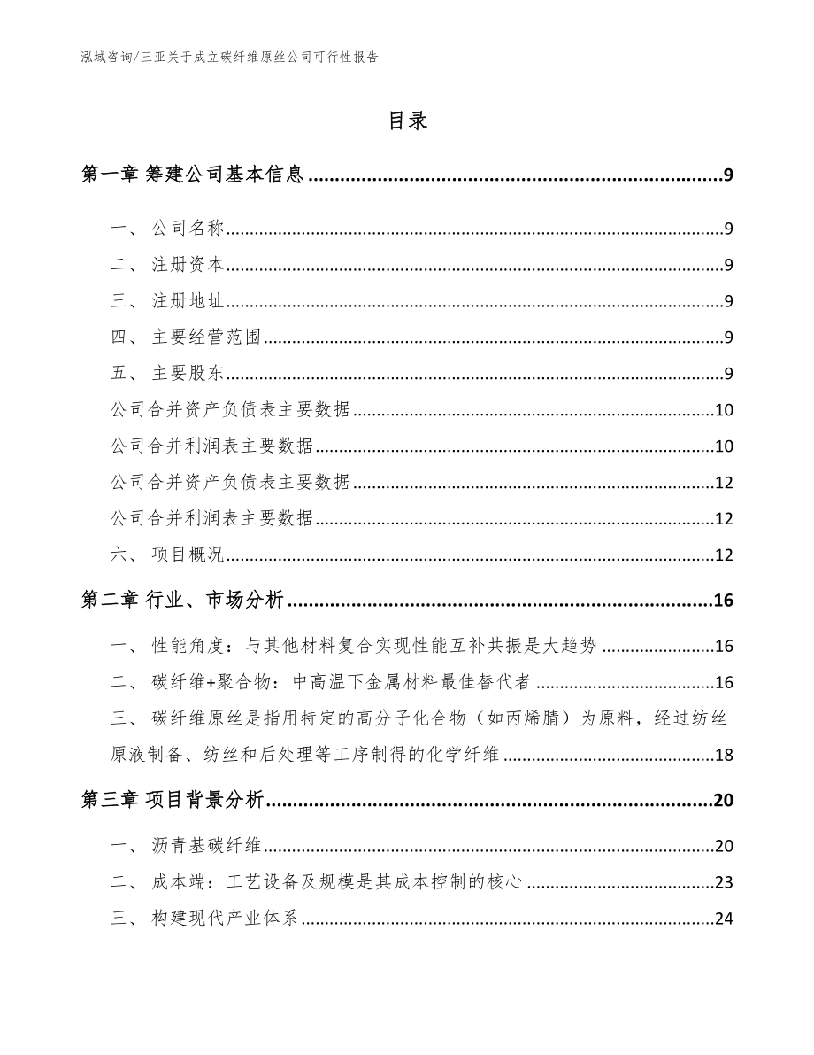 三亚关于成立碳纤维原丝公司可行性报告_第2页