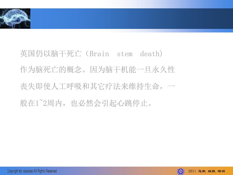 脑死亡研究进展课件_第4页