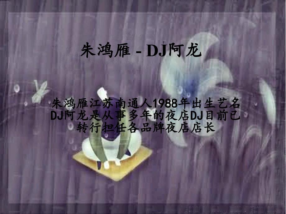 《朱鸿雁DJ阿龙》PPT课件.ppt_第1页