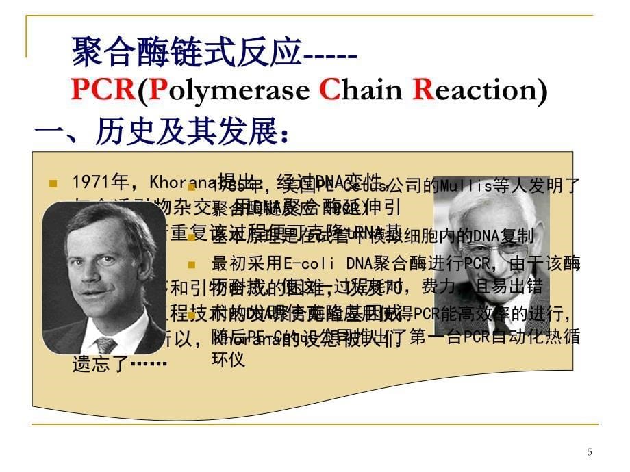 分子生物学基本技术PCRPolymeraseChainReaction_第5页