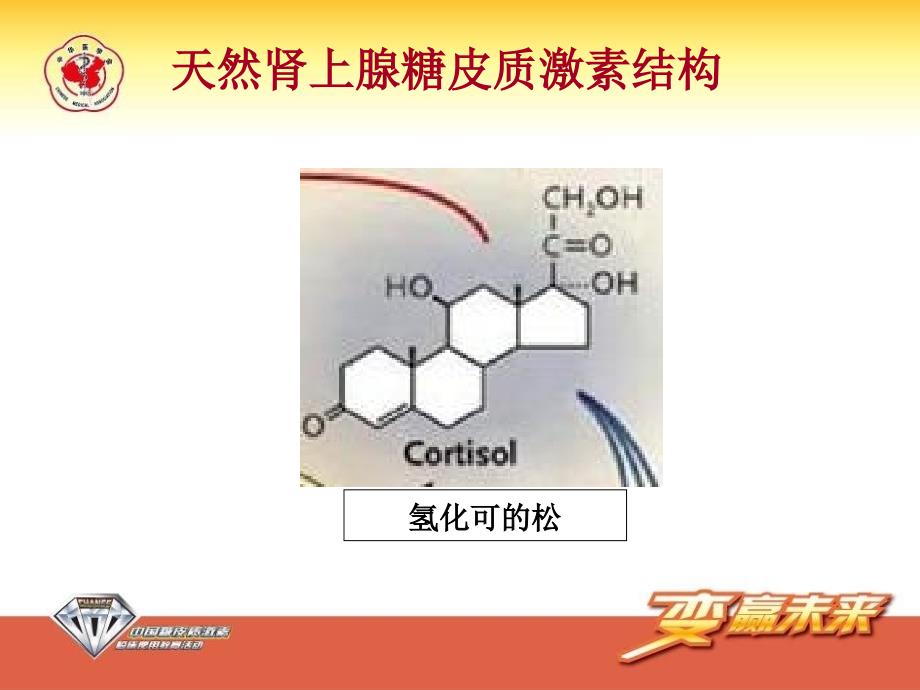 糖皮质激素的临床使用_第4页