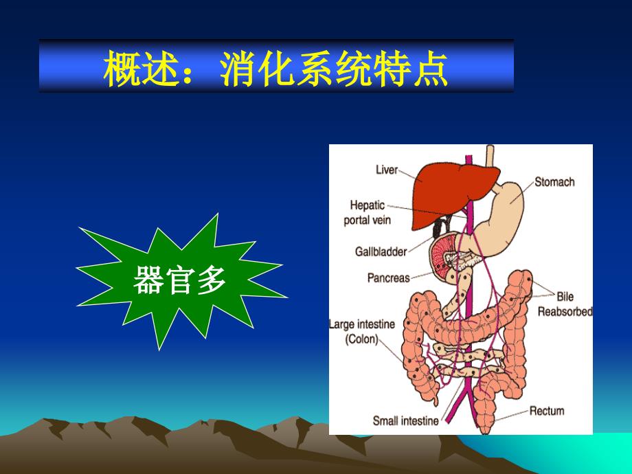 临床医学概要16胃炎溃疡病_第2页