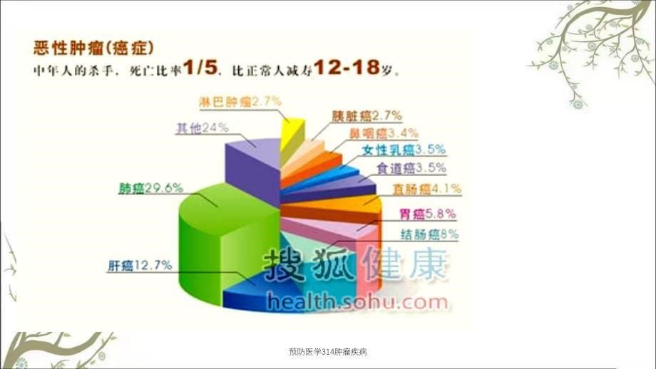 预防医学314肿瘤疾病_第5页