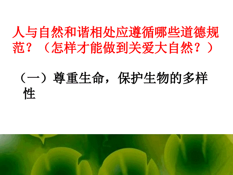 关爱自然,从我做起主题班会.ppt_第4页