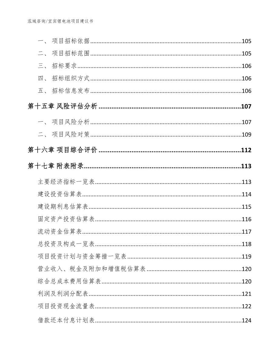 宜宾锂电池项目建议书_模板参考_第5页